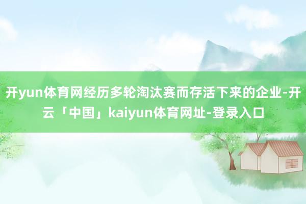 开yun体育网经历多轮淘汰赛而存活下来的企业-开云「中国」kaiyun体育网址-登录入口