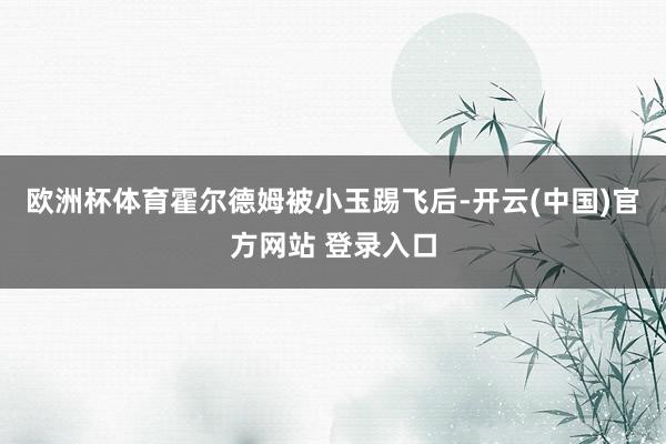 欧洲杯体育霍尔德姆被小玉踢飞后-开云(中国)官方网站 登录入