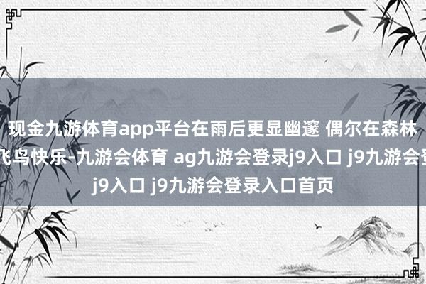 现金九游体育app平台在雨后更显幽邃 偶尔在森林里炫夸飞檐 