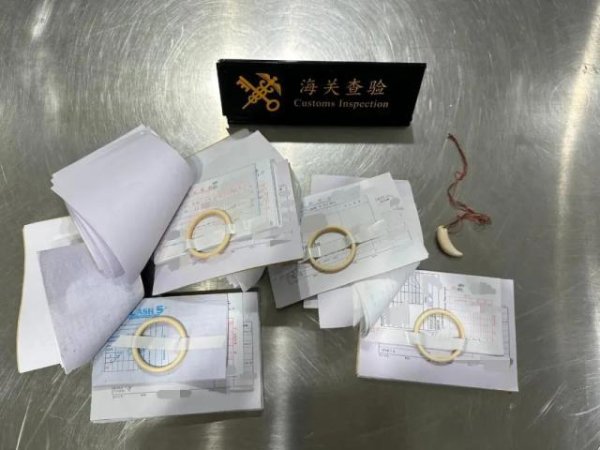 开yun体育网现场关员立地对其进行阻挠并作进一步检察-开云「中国」kaiyun体育网址-登录入口